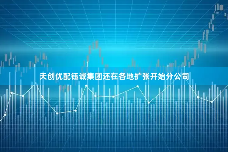 天创优配钰诚集团还在各地扩张开始分公司