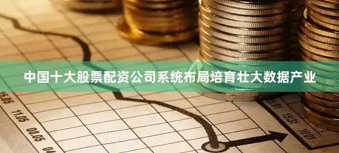 中国十大股票配资公司系统布局培育壮大数据产业
