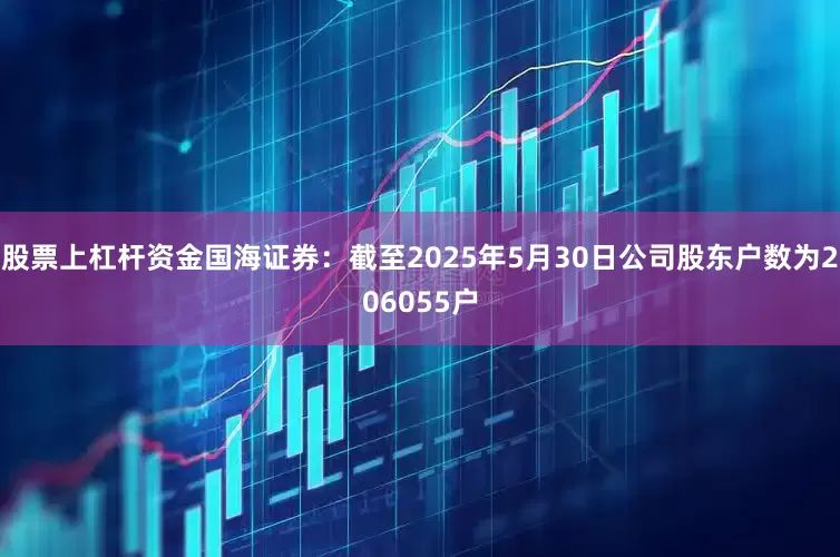 股票上杠杆资金国海证券：截至2025年5月30日公司股东户数为206055户