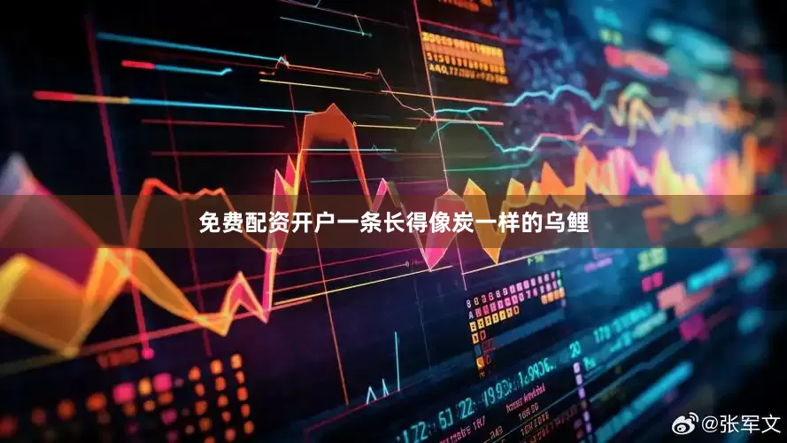 免费配资开户一条长得像炭一样的乌鲤