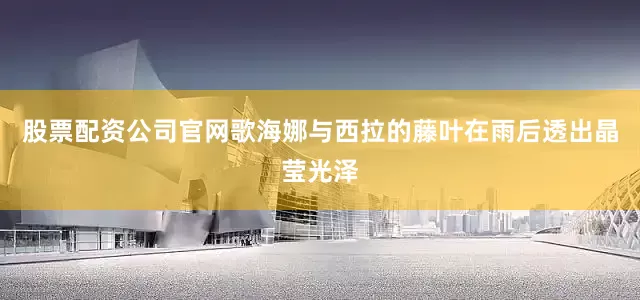股票配资公司官网歌海娜与西拉的藤叶在雨后透出晶莹光泽