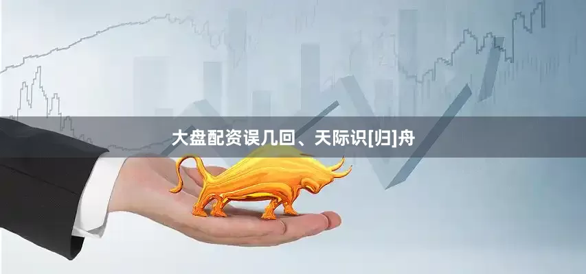 大盘配资误几回、天际识[归]舟