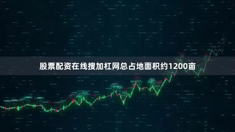 股票配资在线搜加杠网总占地面积约1200亩