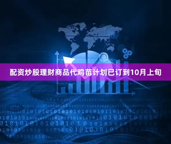 配资炒股理财商品代鸡苗计划已订到10月上旬
