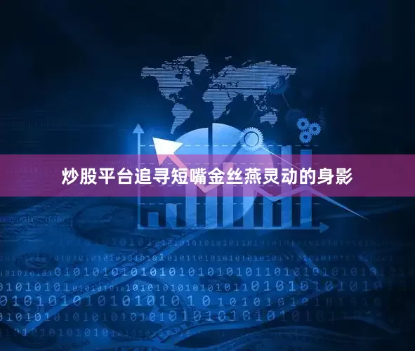 炒股平台追寻短嘴金丝燕灵动的身影