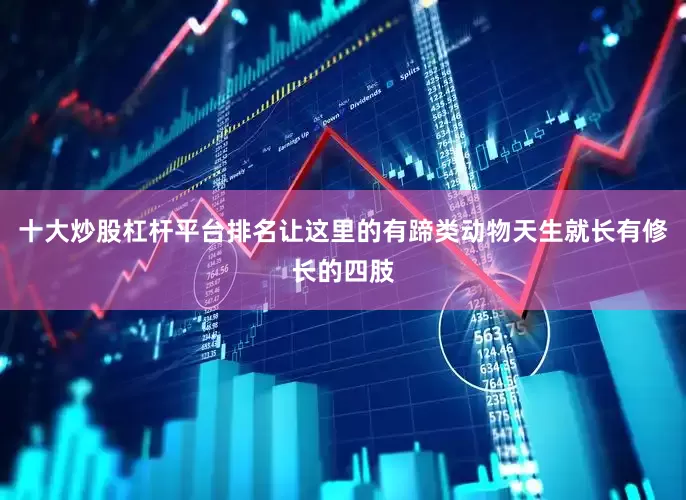 十大炒股杠杆平台排名让这里的有蹄类动物天生就长有修长的四肢