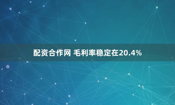 配资合作网 毛利率稳定在20.4%