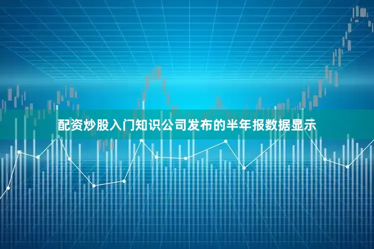 配资炒股入门知识　　公司发布的半年报数据显示