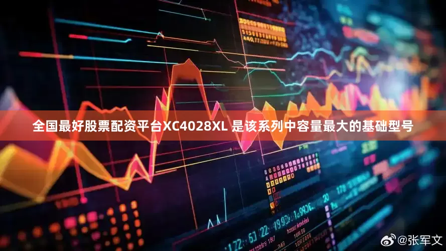 全国最好股票配资平台XC4028XL 是该系列中容量最大的基础型号