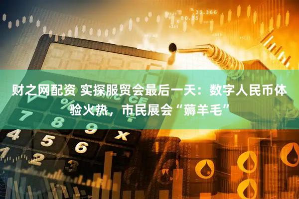 财之网配资 实探服贸会最后一天：数字人民币体验火热，市民展会“薅羊毛”