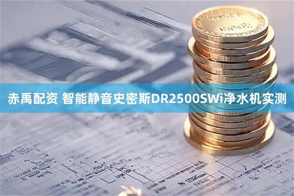 赤禹配资 智能静音史密斯DR2500SWi净水机实测